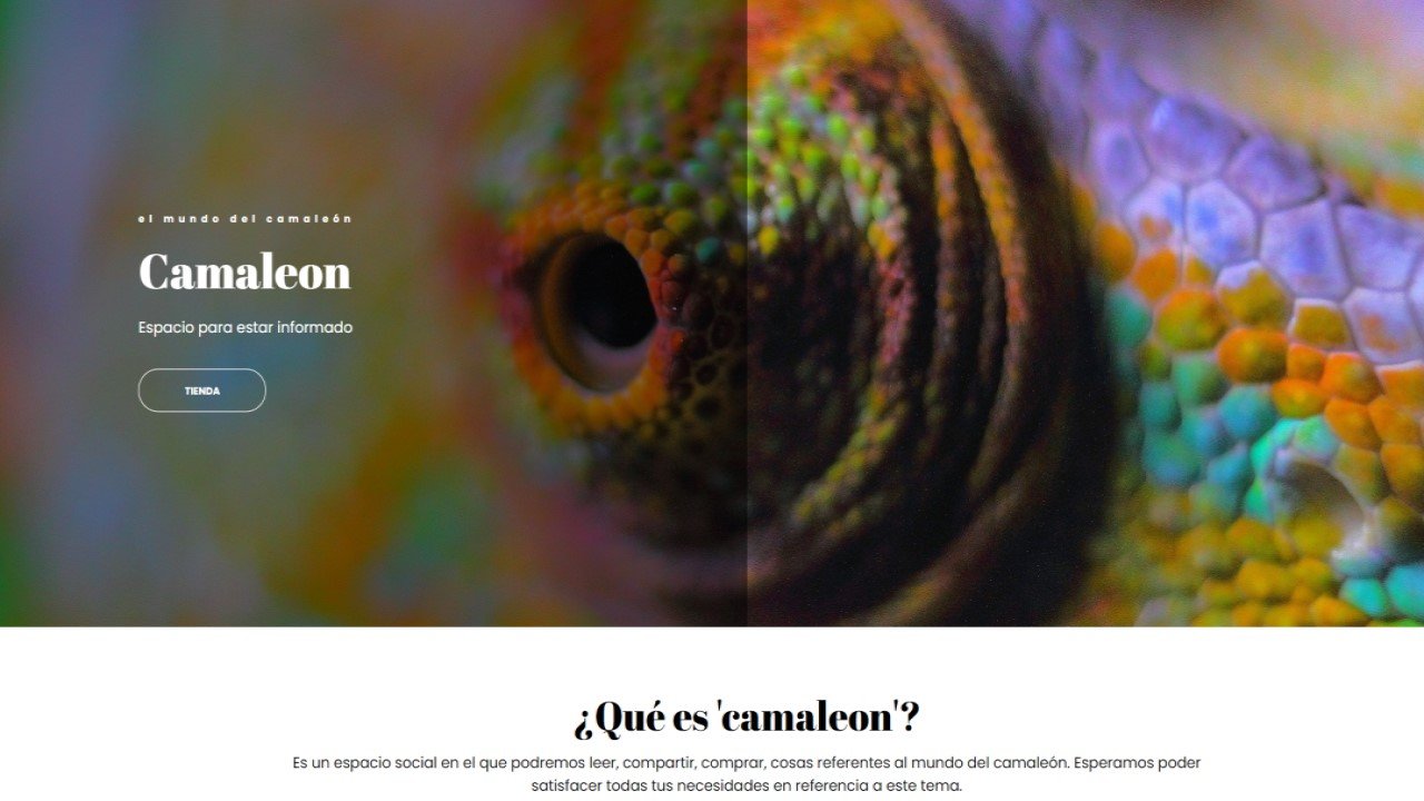 Camaleón